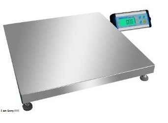 Stainless steel top platform scale with rail