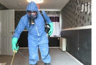 Spraying, Fumigation and pest control services