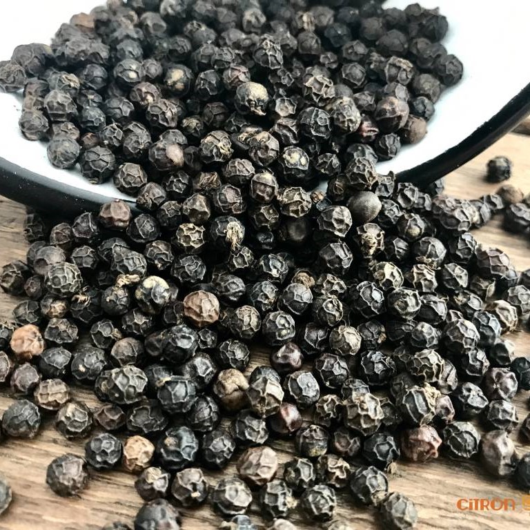 Best quality Black pepper 500G/L – 580 G/L from Viet Nam – BLACK PEPPER